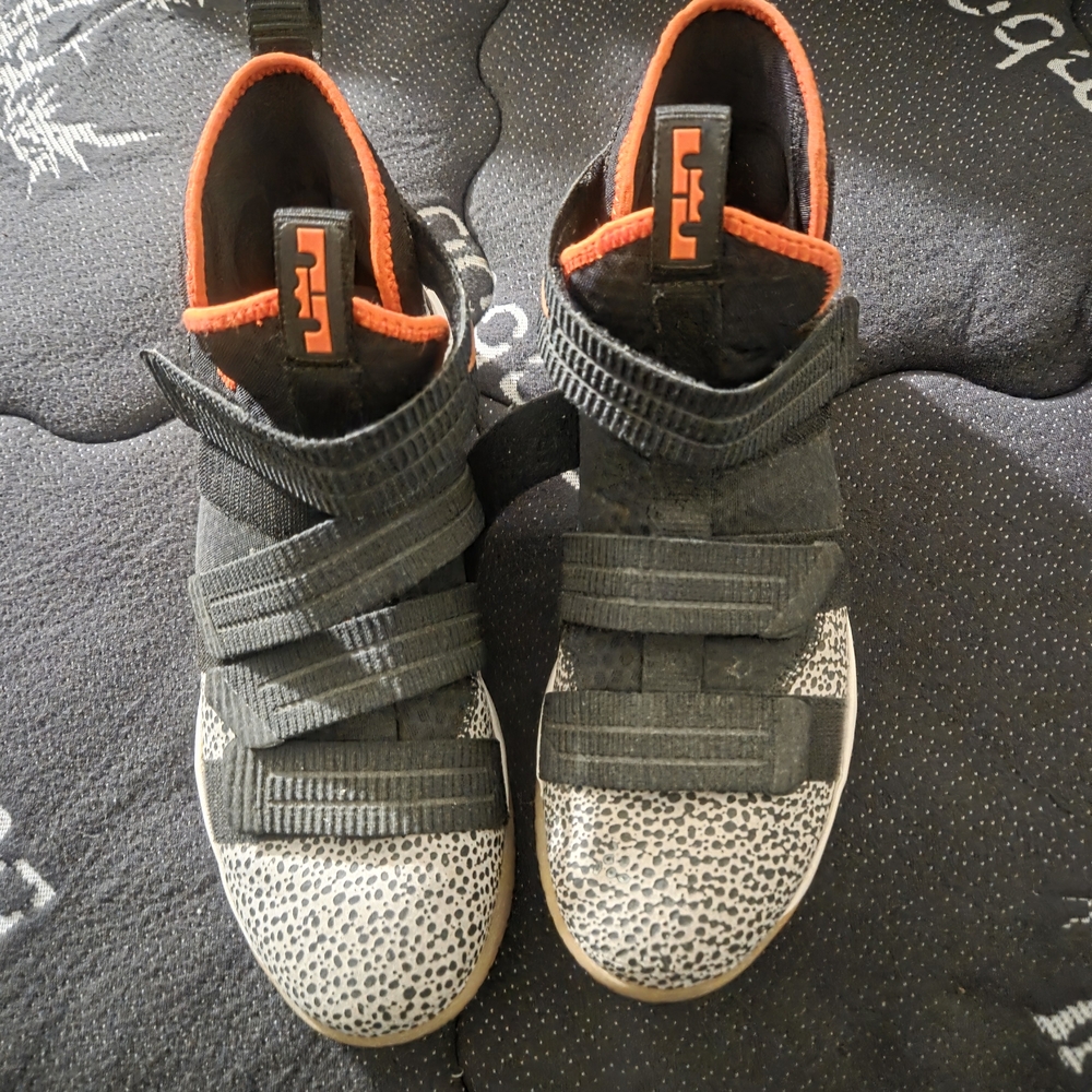 Lebron James Soldier 11 Safari